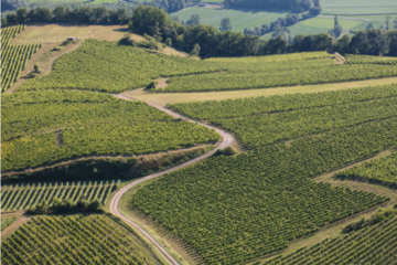 Exposition vignes paysages vignerons à Yenne avec les Guides du Patrimoine Savoie Mont Blanc