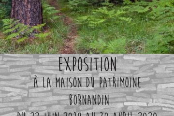 Exposition Forêts d'ici et d'ailleurs Maison du patrimoine bornandin avec Guides du Patrimoine Savoie Mont Blanc